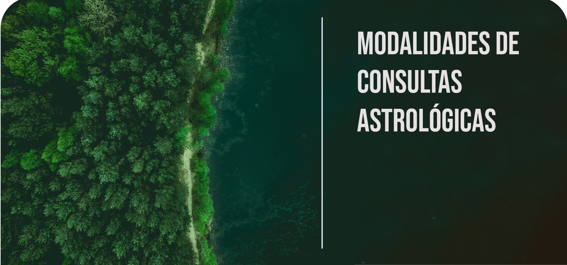 Mesa de trabajo 7_modalidades