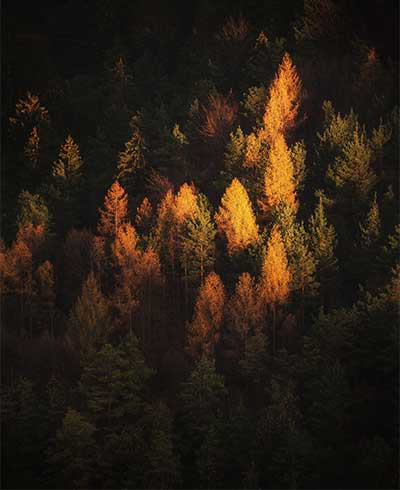 WEB_1_FOTO1