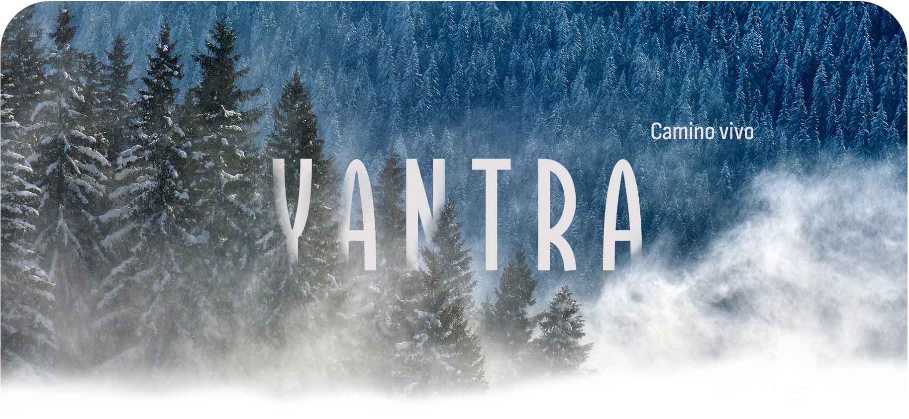 WEB_2_PORTADA_con_curvas